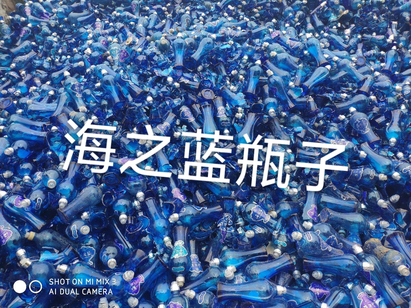 建邺区海之蓝瓶回收